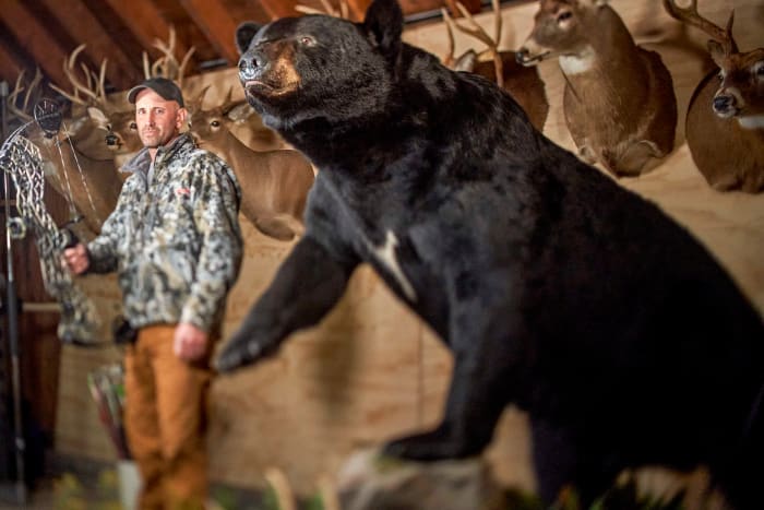 Melillo at home with his stuffed, record bear.